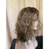 07 Curly hair 13x6 Transparent Lace Ombré blonde and ashy brown balayage color double drawn virgin hair wig